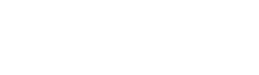 Solute Consultoria
